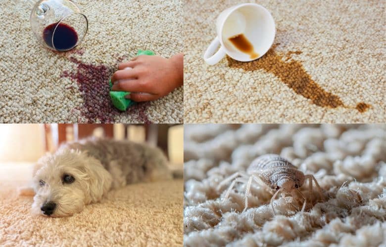 4 tipos de sujeiras